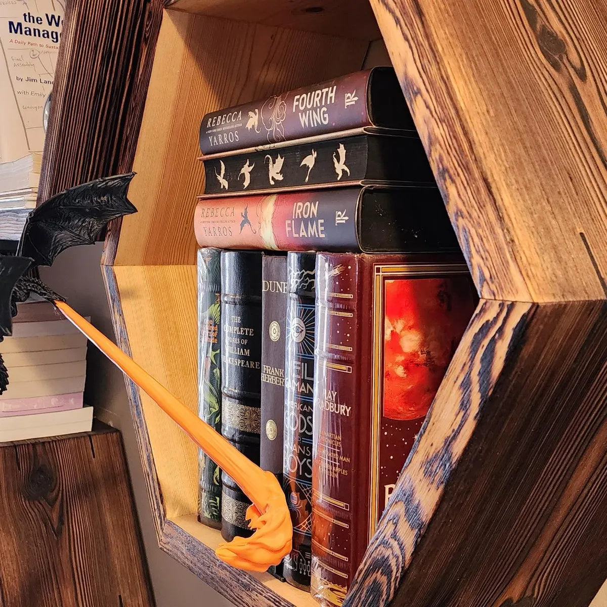 Dragon Flame Book Nook